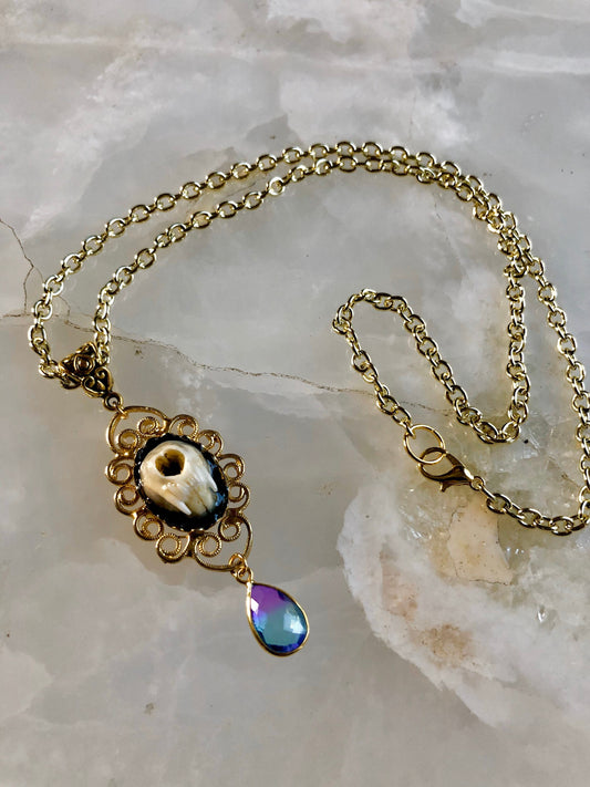 Weasel Snout Taxidermy Necklace