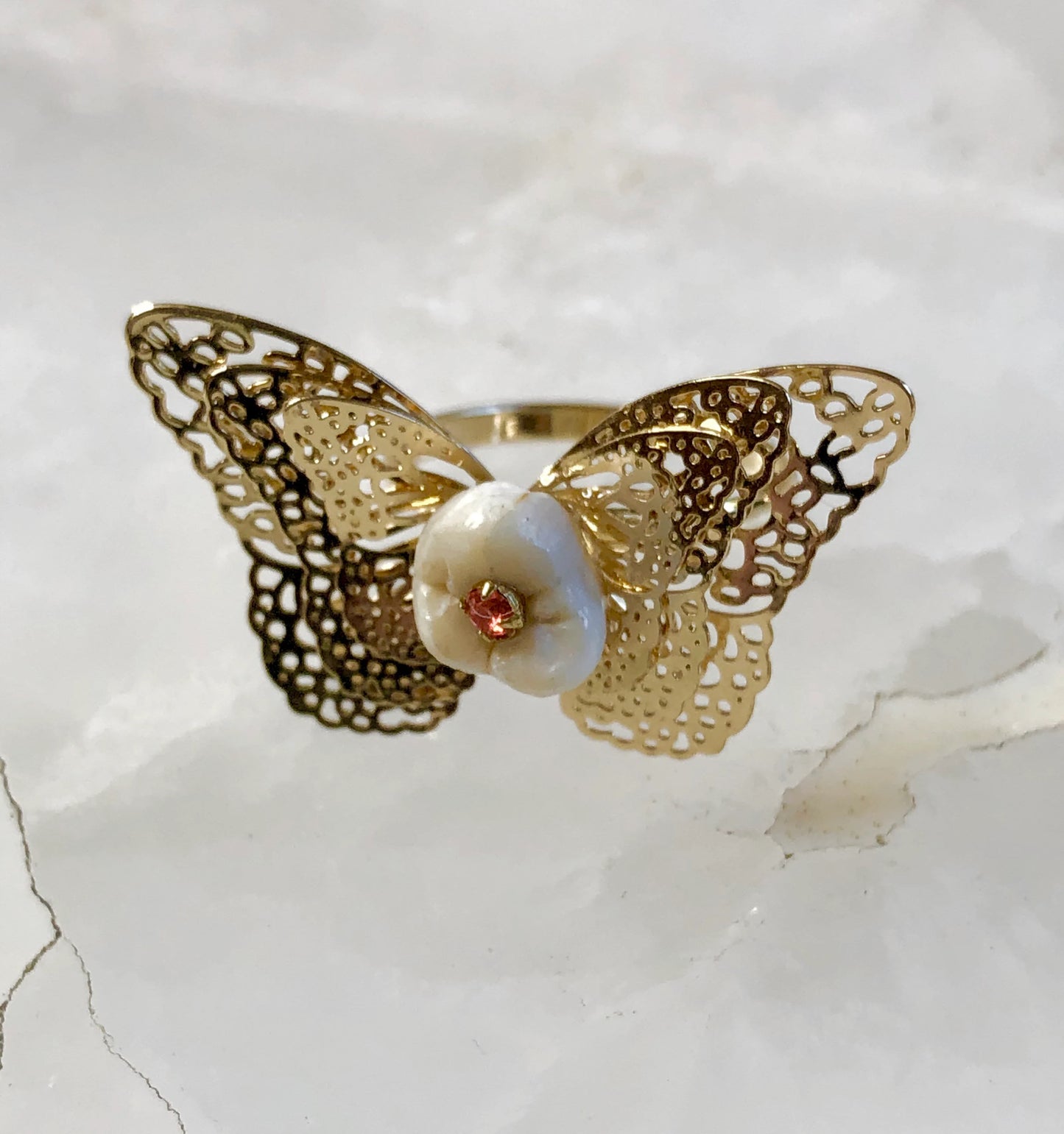 Human Molar Butterfly Ring