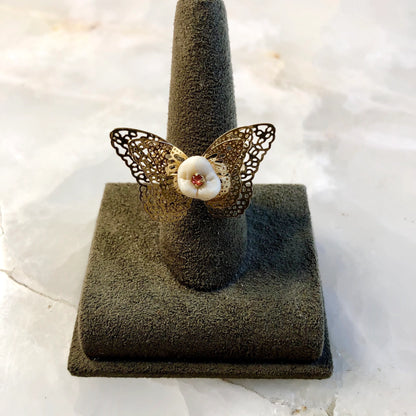Human Molar Butterfly Ring