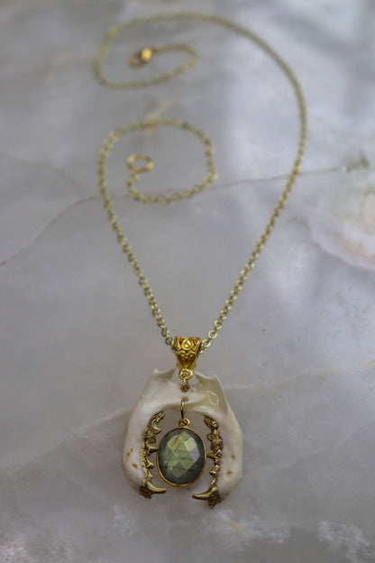 Labradorite Biting Mandible Necklace