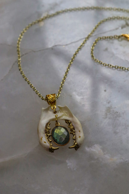 Labradorite Biting Mandible Necklace