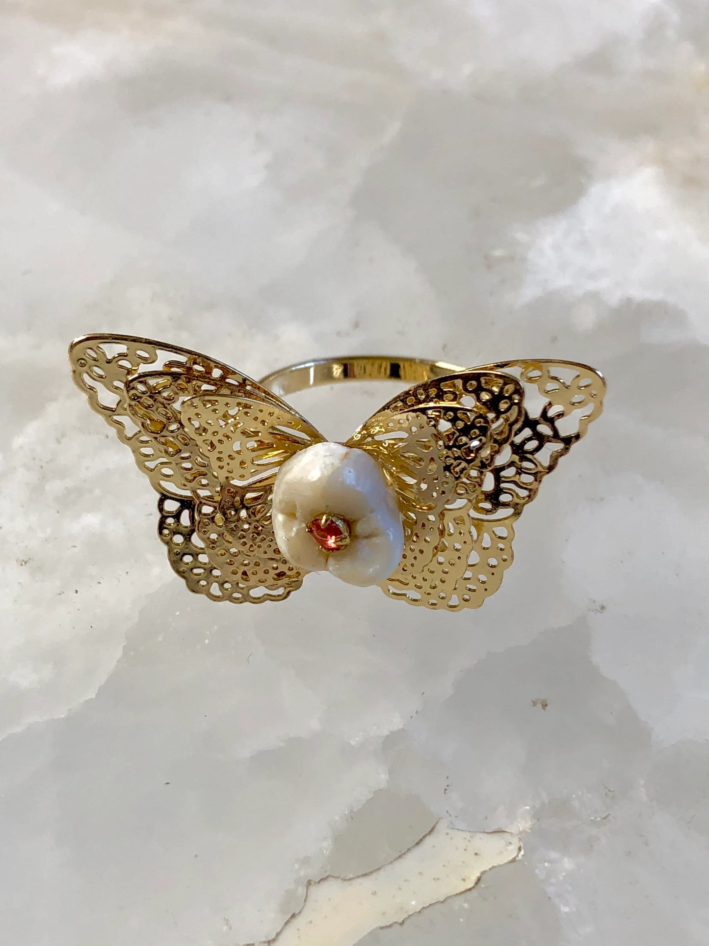 Human Molar Butterfly Ring