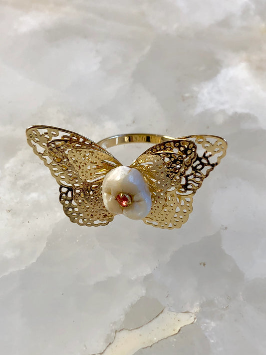 Human Molar Butterfly Ring