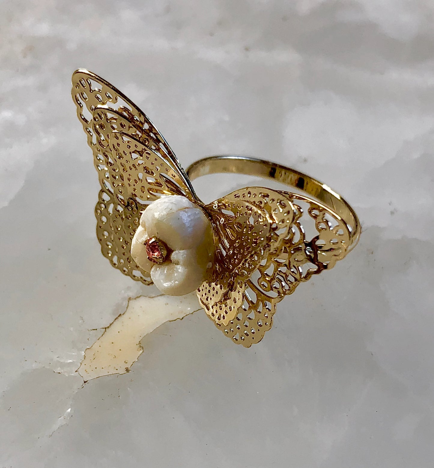 Human Molar Butterfly Ring