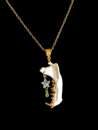 Skunk Jaw and Abalone Star Necklace