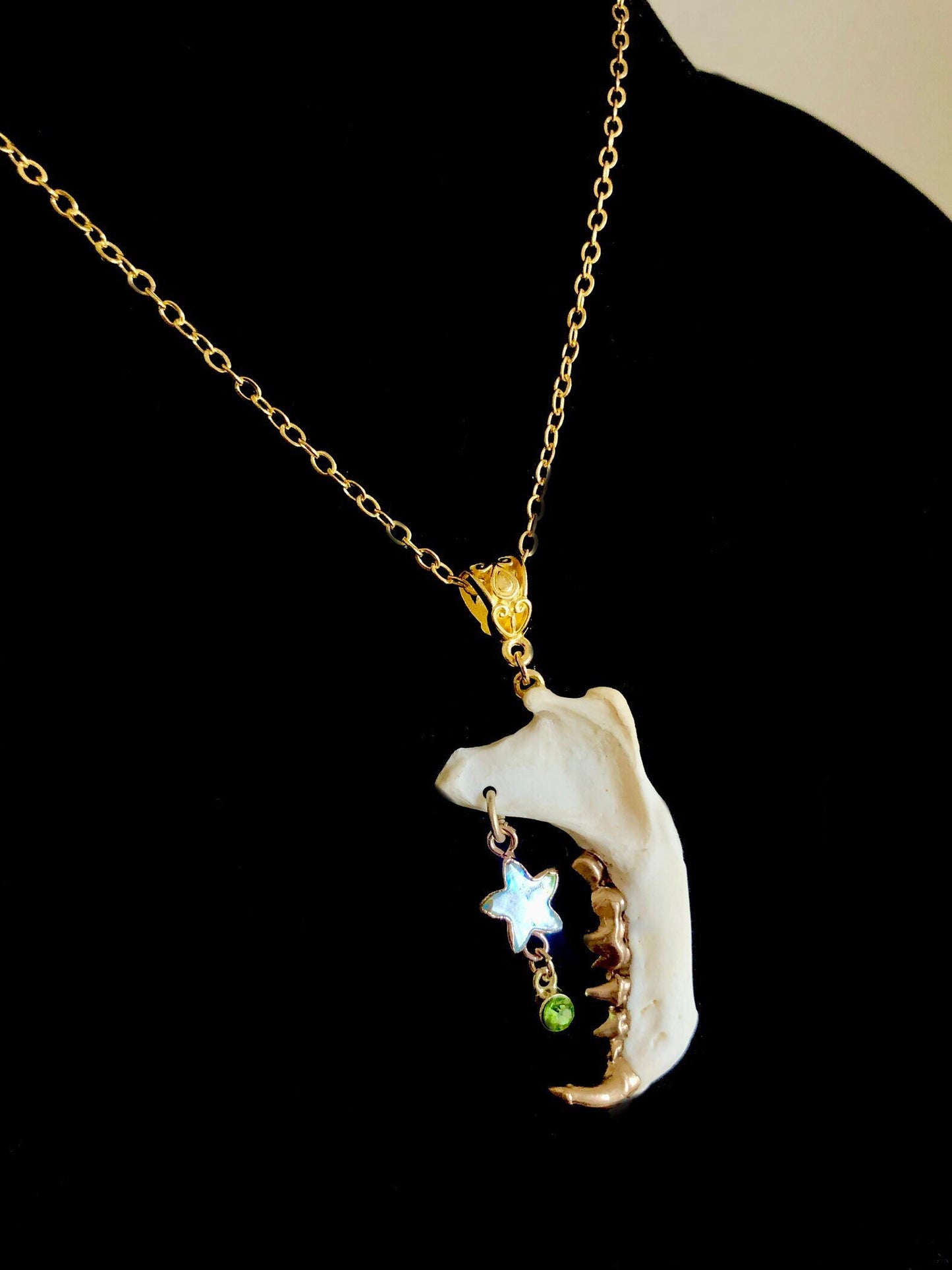 Skunk Jaw and Abalone Star Necklace