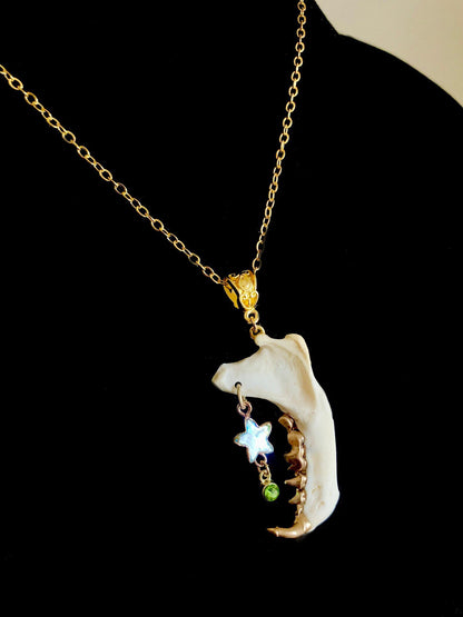 Skunk Jaw and Abalone Star Necklace