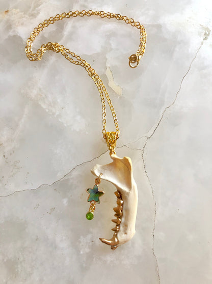 Skunk Jaw and Abalone Star Necklace