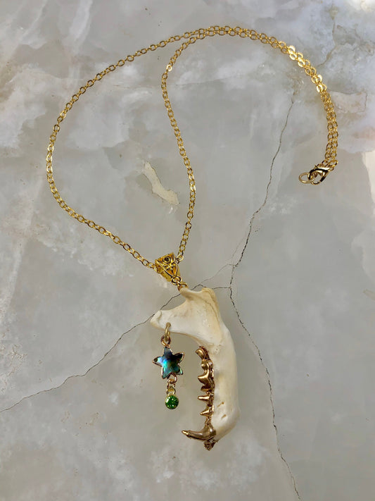 Skunk Jaw and Abalone Star Necklace