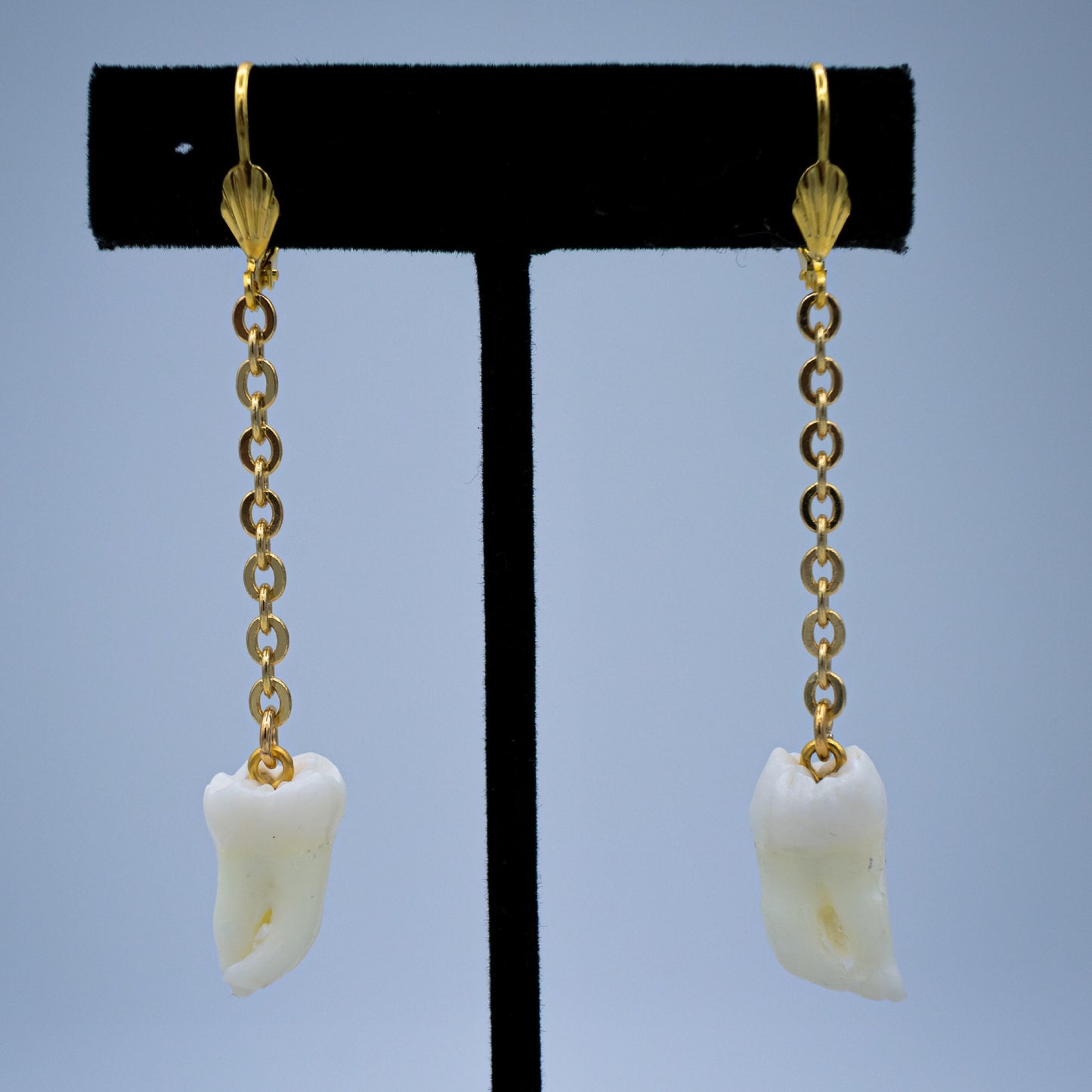 Morning Molar and Chain Earrings