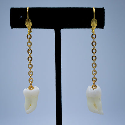 Morning Molar and Chain Earrings