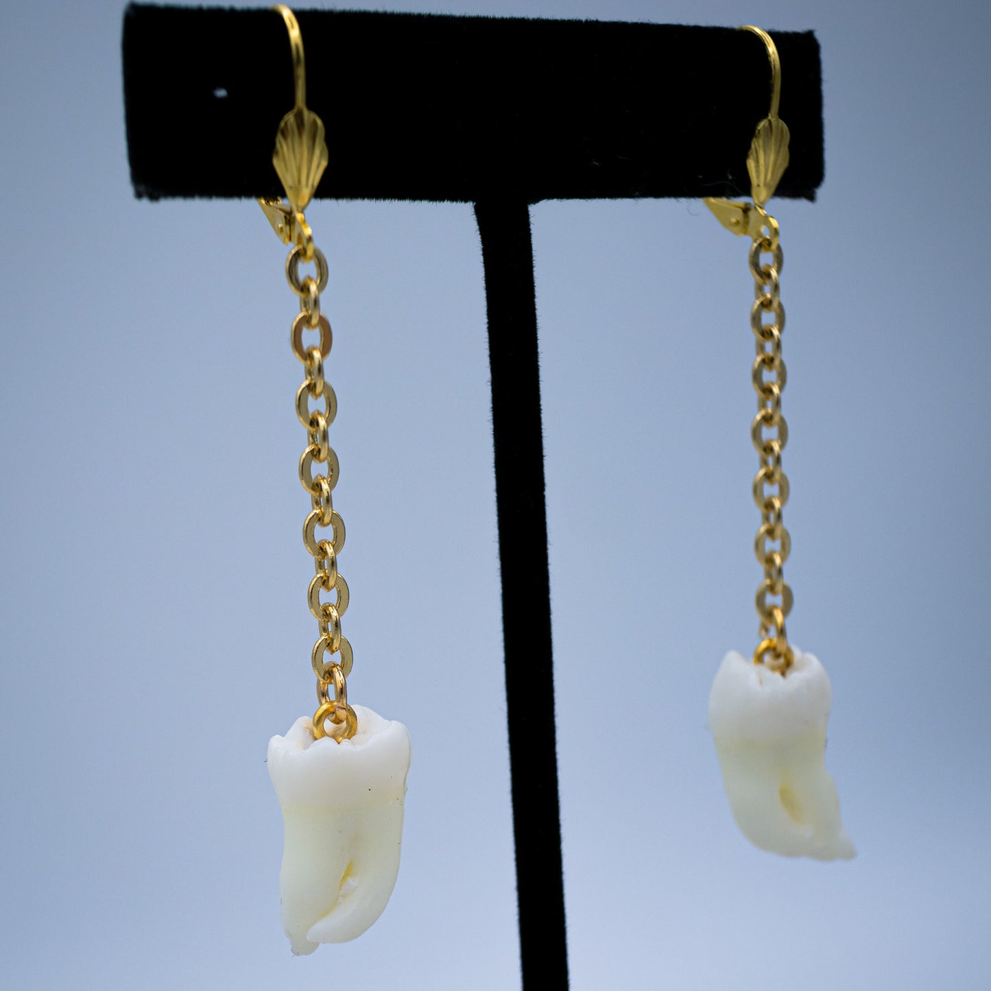 Morning Molar and Chain Earrings