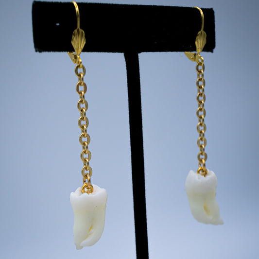 Morning Molar and Chain Earrings