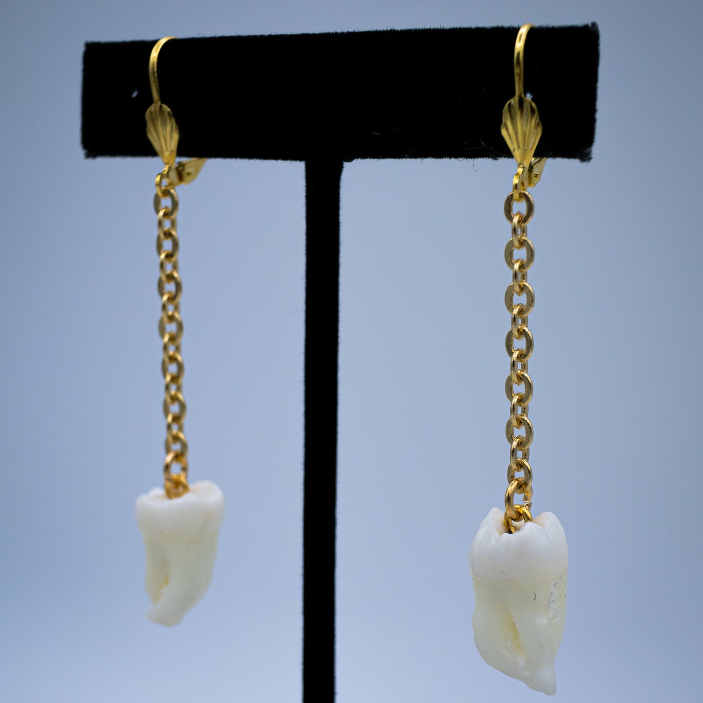 Morning Molar and Chain Earrings