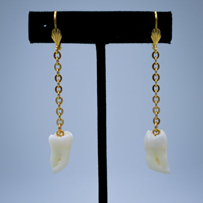 Morning Molar and Chain Earrings