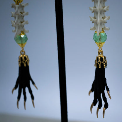 Vertebrae and Paw Taxidermy Earrings