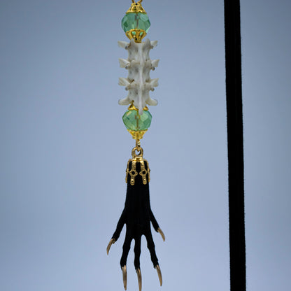 Vertebrae and Paw Taxidermy Earrings