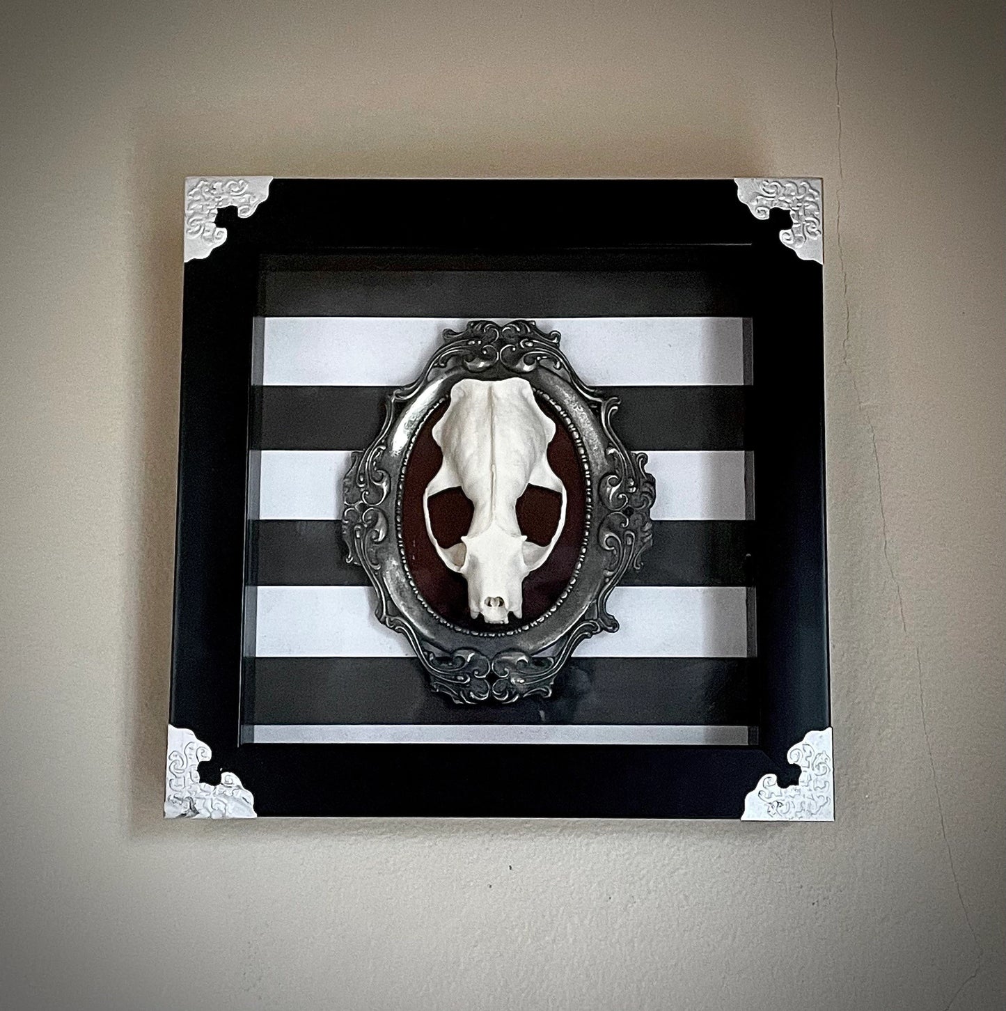 Adorned Mink Skull Shadow Box