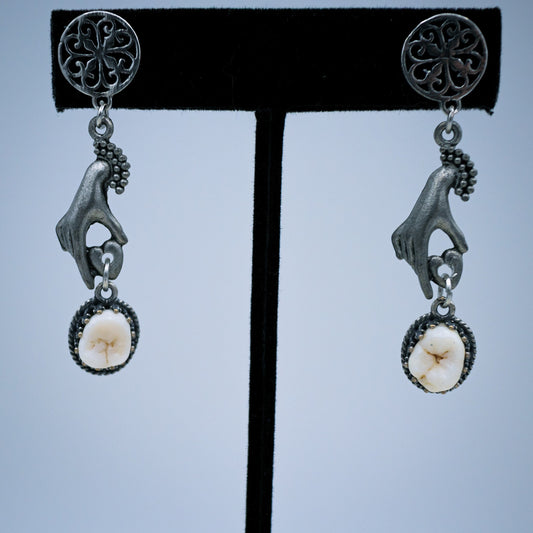 Victorian Human Molar Earrings