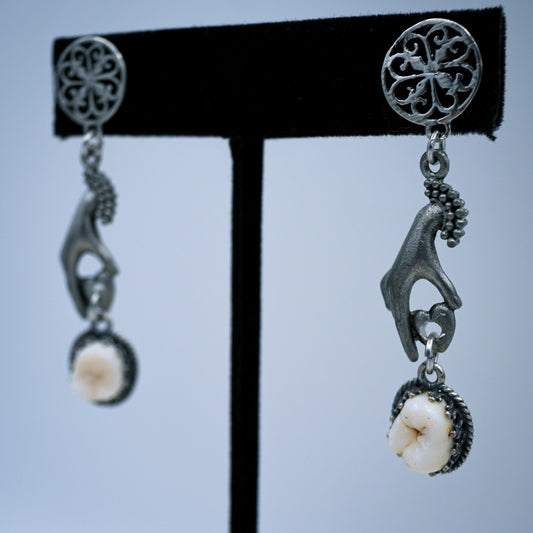 Victorian Human Molar Earrings