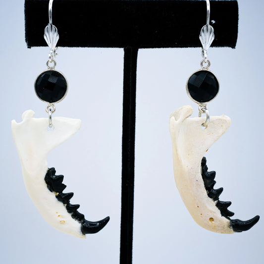 Authentic Mink Jaw Gothic earrings