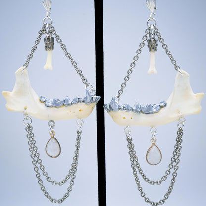 Mink Jaw and Moonstone Earrings