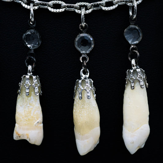 Human Tooth and Stone Necklace