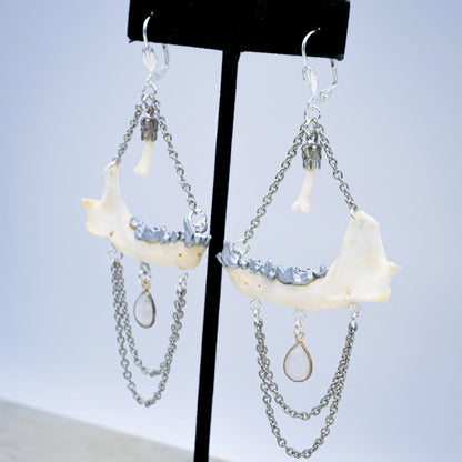 Mink Jaw and Moonstone Earrings