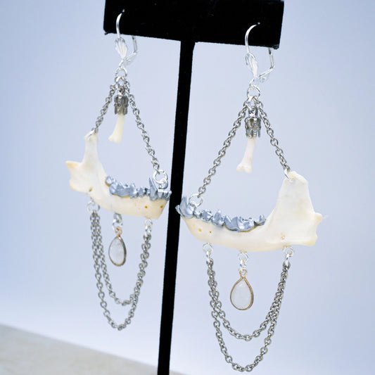 Mink Jaw and Moonstone Earrings