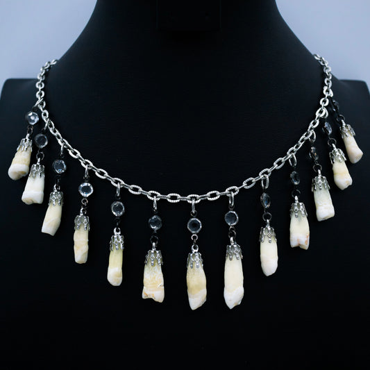 Human Tooth and Stone Necklace