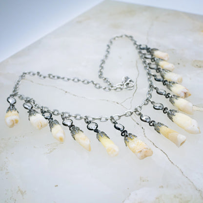 Human Tooth and Stone Necklace