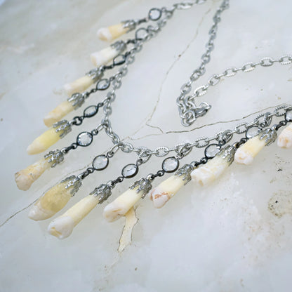 Human Tooth and Stone Necklace