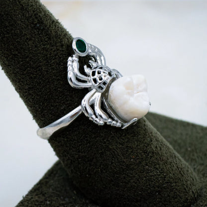 Human Molar Spider Ring