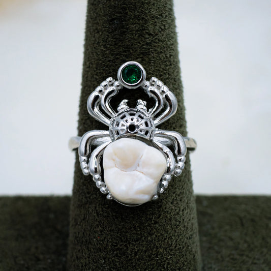Human Molar Spider Ring