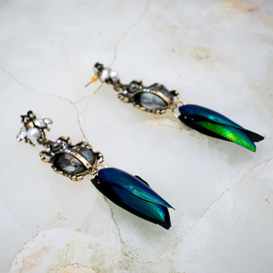 Abalone Scarab Beetle Earrings