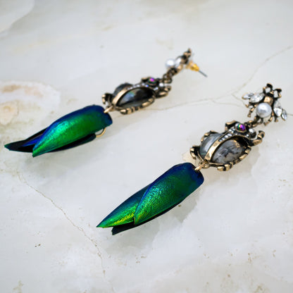 Abalone Scarab Beetle Earrings