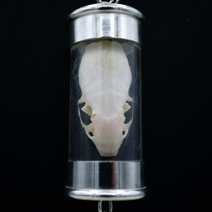 Weasel Skull Ossuary Necklace