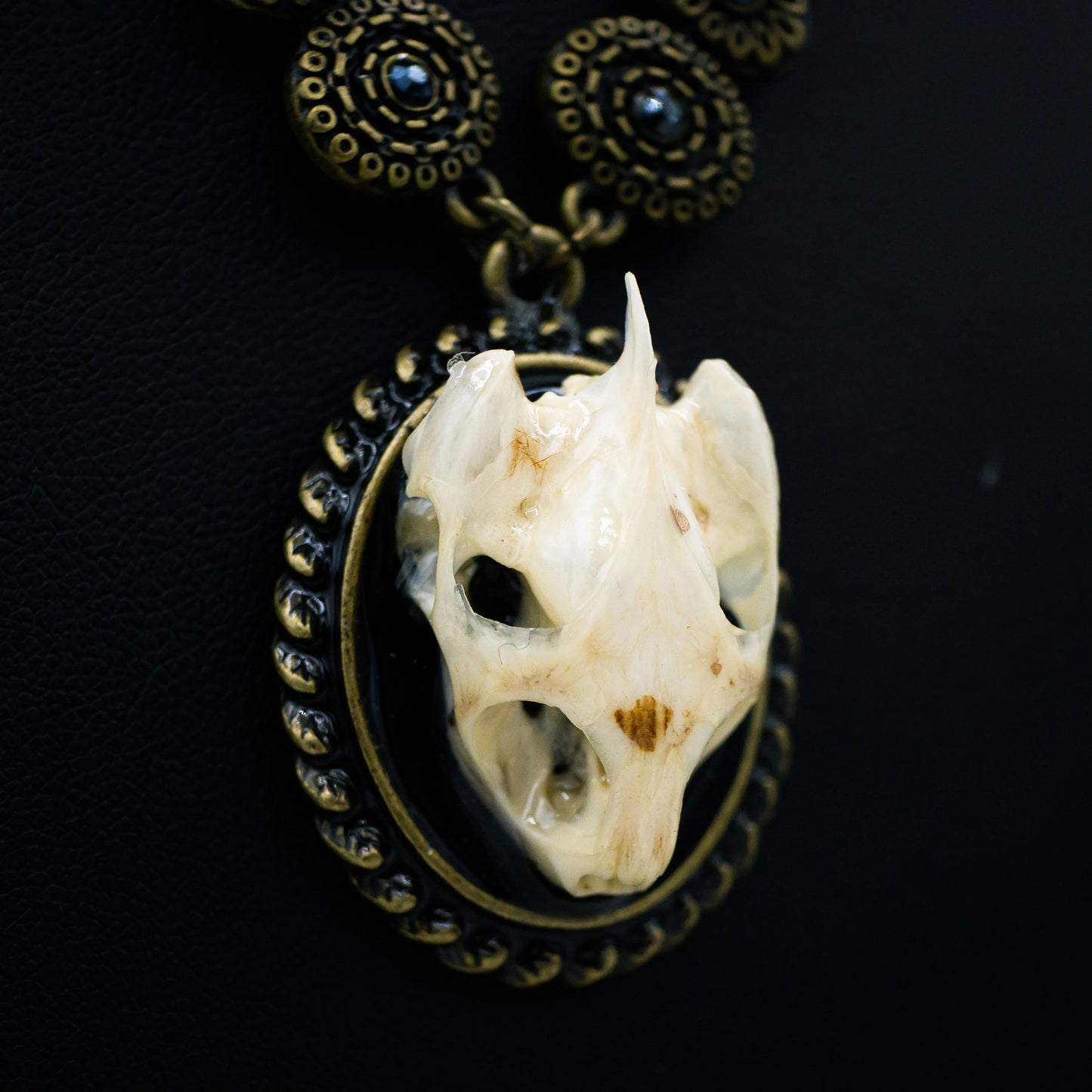 Sorcerers Turtle Skull Necklace