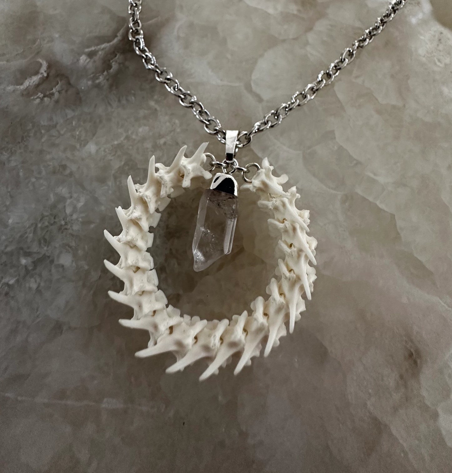Vertebrae Circle and Quartz Necklace