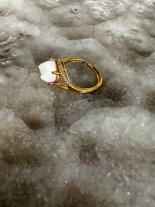 Human Tooth Gold Ring