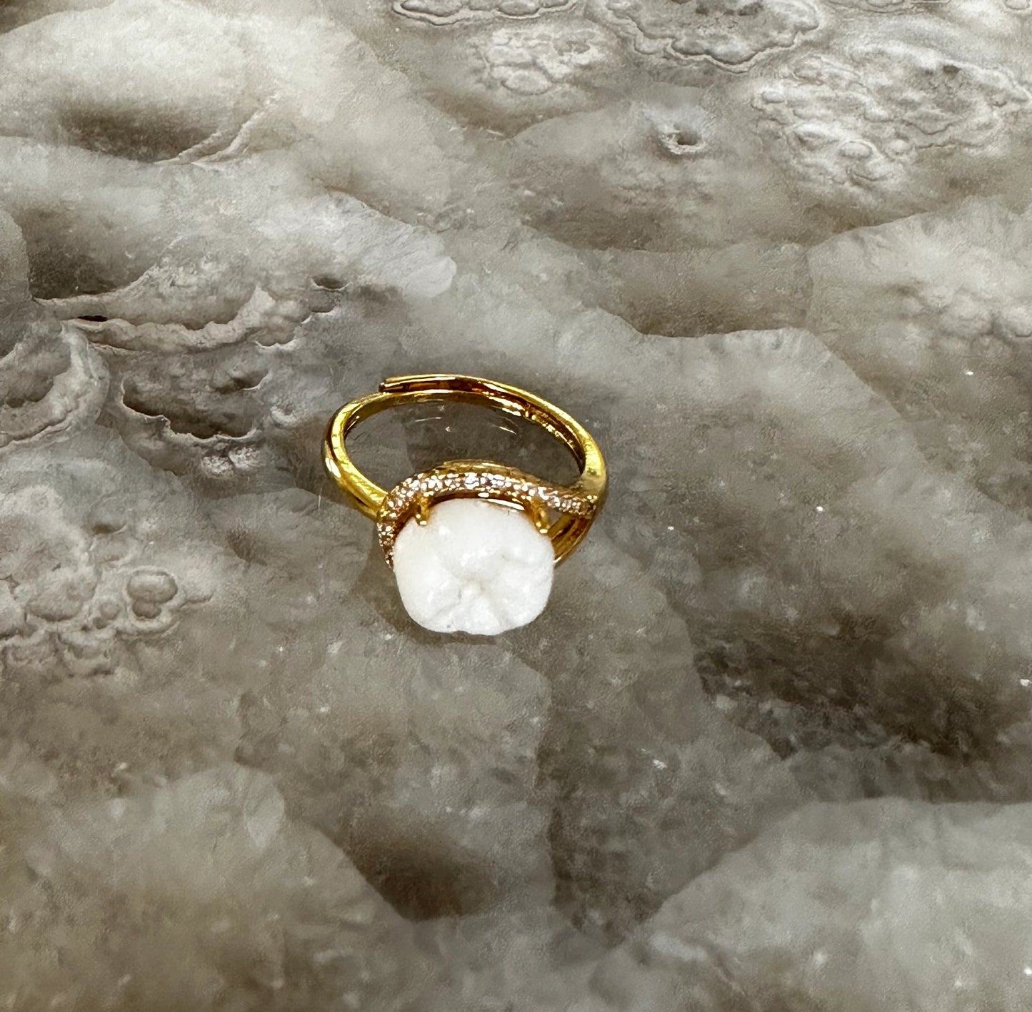 Human Tooth Gold Ring