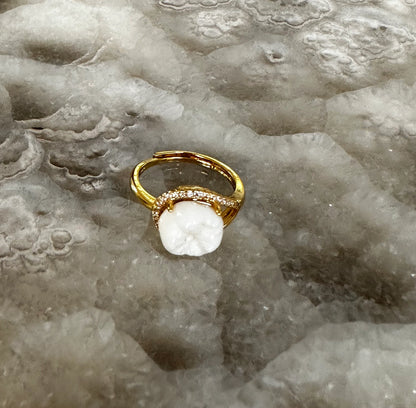 Human Tooth Gold Ring