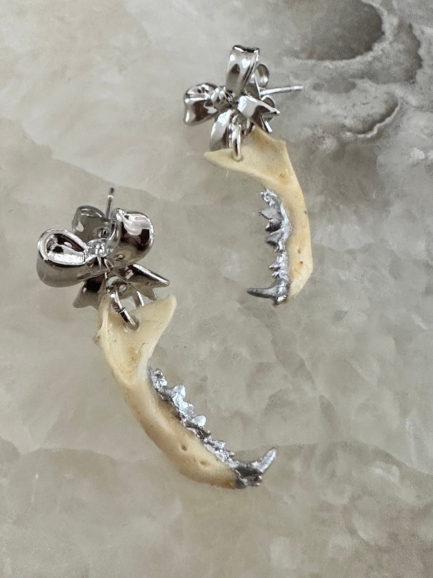 Bow and Weasel Jaw Earrings