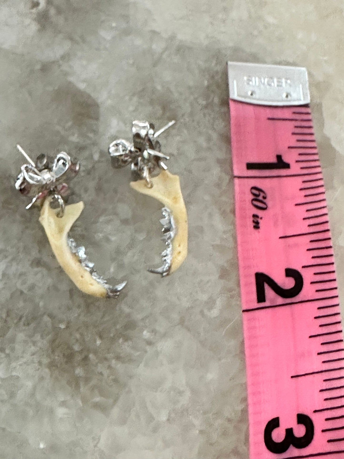 Bow and Weasel Jaw Earrings