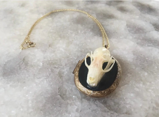 Mourning Bat Skull Locket