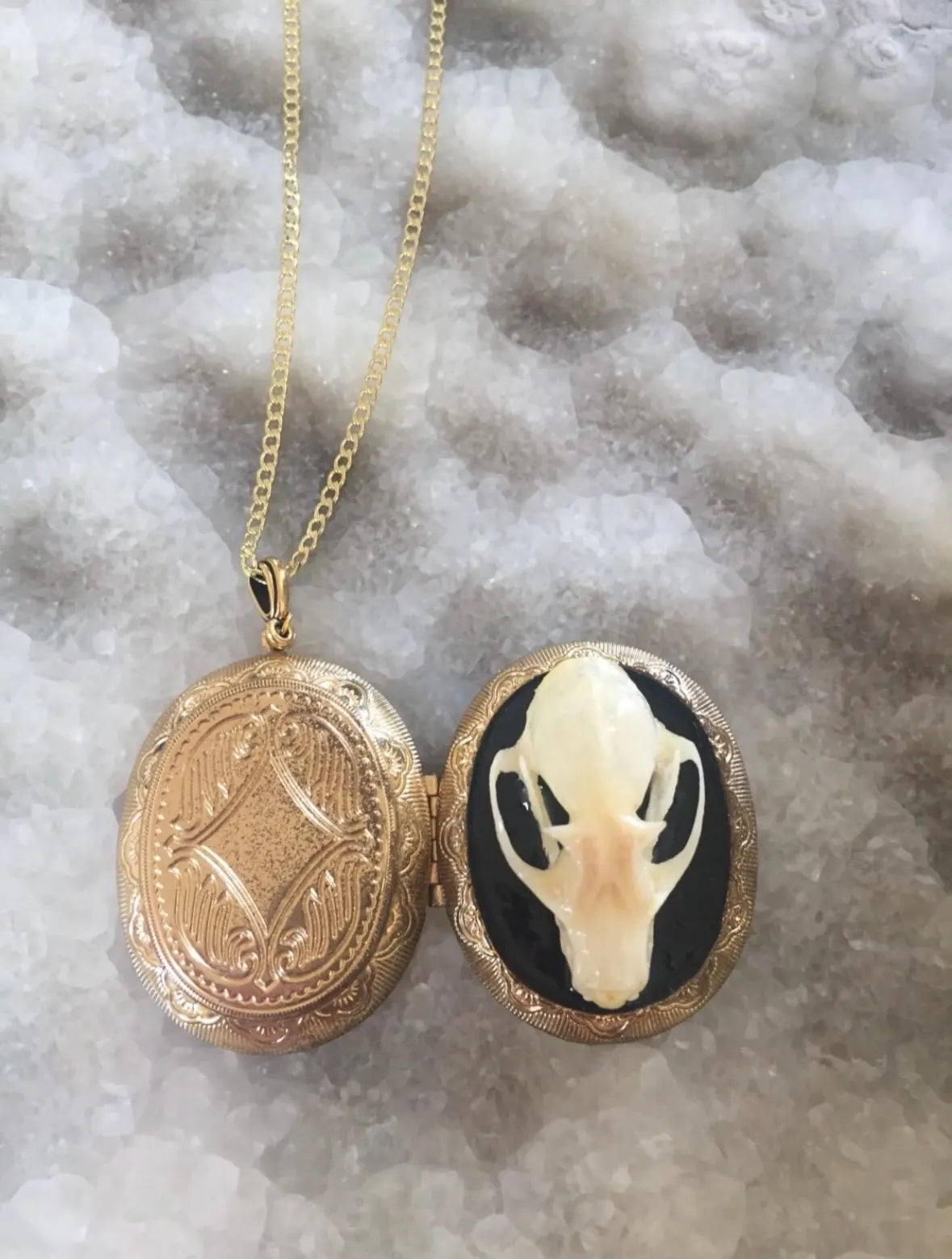 Mourning Bat Skull Locket