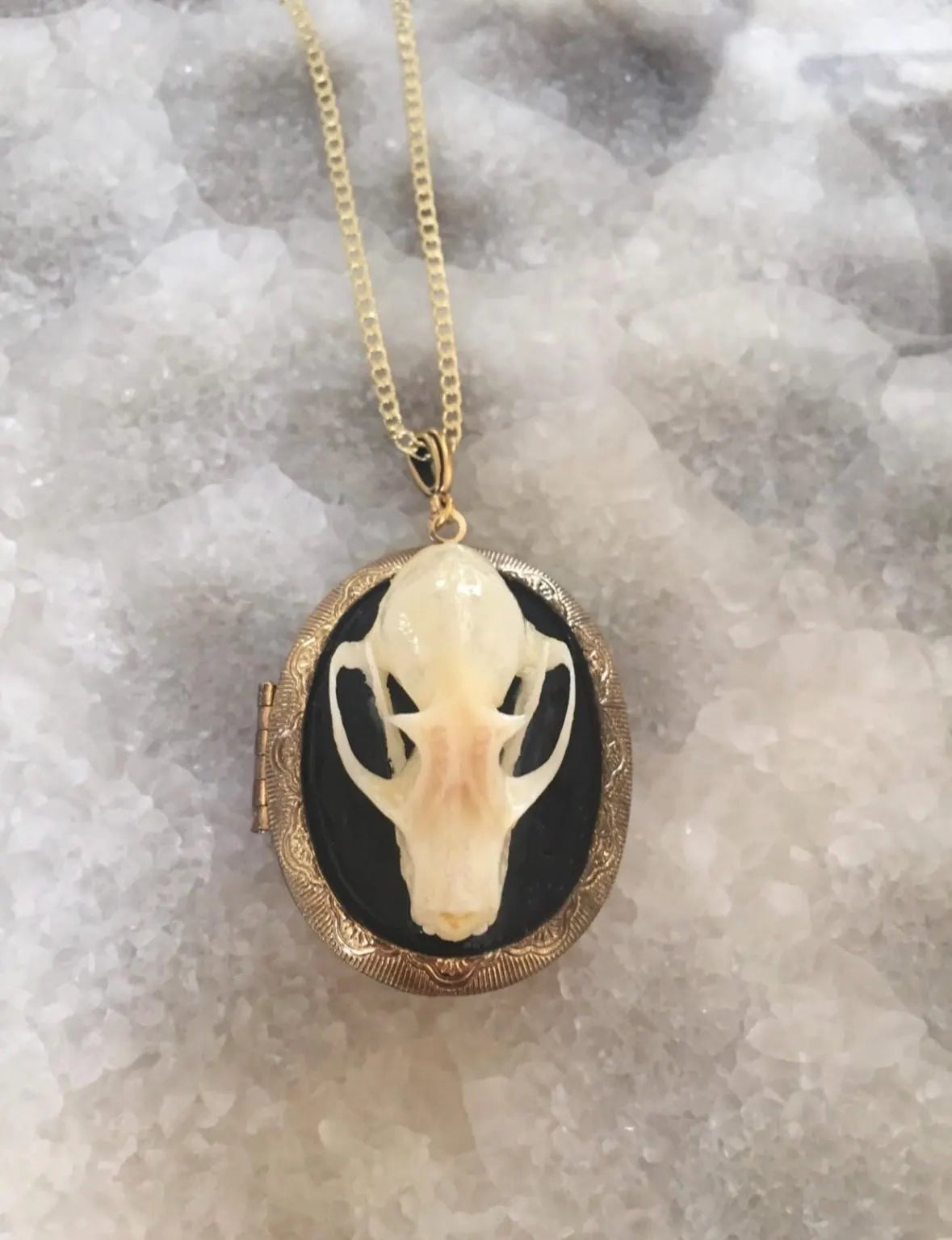 Mourning Bat Skull Locket