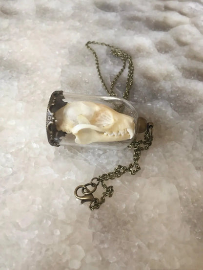Bat skull Bell Jar Necklace