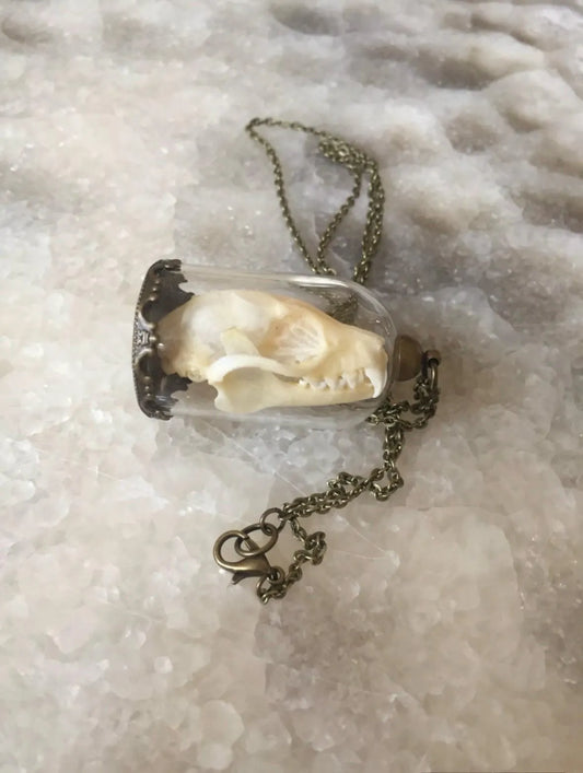 Bat skull Bell Jar Necklace