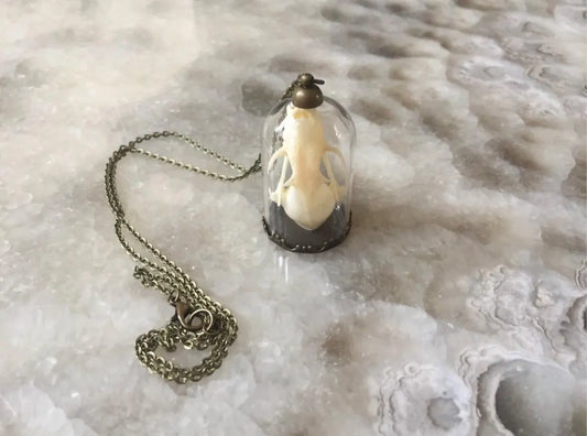 Bat skull Bell Jar Necklace